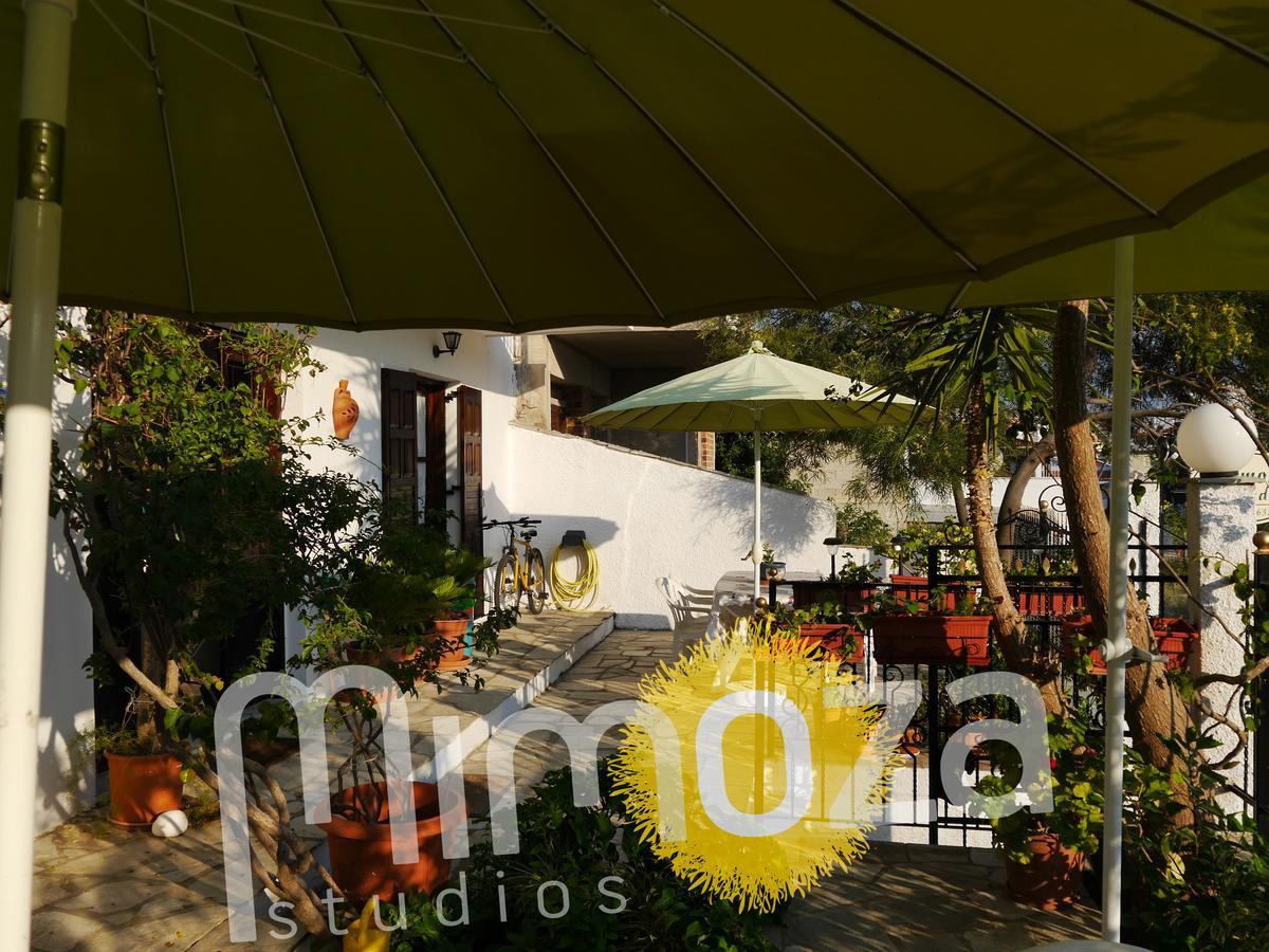Mimoza Studios สเกียธอสทาวน์ ภายนอก รูปภาพ